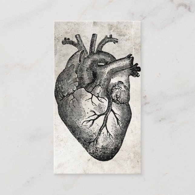 Affärskorten doktor Heart Anatomy Visitkort (Framsida)