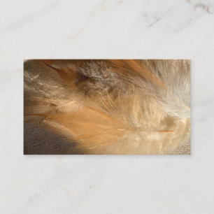 Affärskorten Feather Vinge Healer Shamanic Tribal Visitkort
