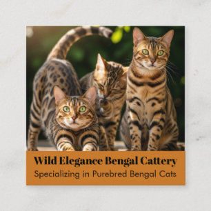 Affärskortet anpassade Bengal Cattery Fyrkantigt Visitkort