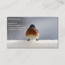 Affärskortet Bold Bluebird Visitkort