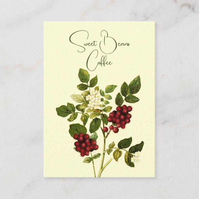 Affärskortet Botaniskt kaffe Bean Stem Visitkort (Framsida)