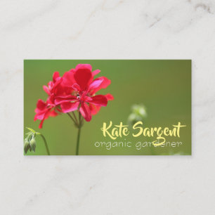 Affärskortet Bright Rosa Geranium Blommigt Visitkort