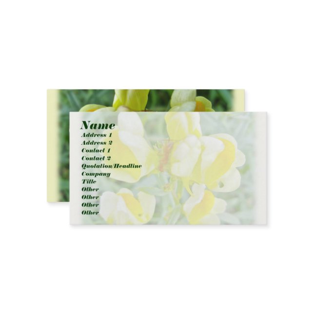Affärskortet Butter 'n Eggs Wildblomma Visitkort (Fram/Back In Situ)