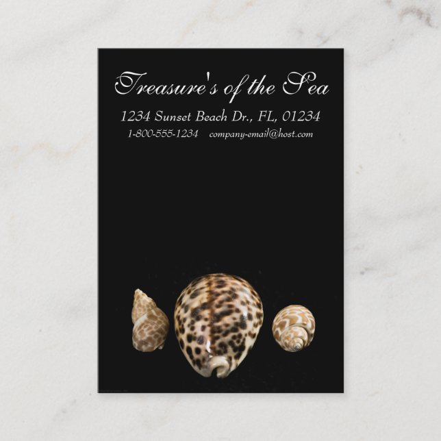 Affärskortet Cowrie Cones 2 Visitkort (Framsida)