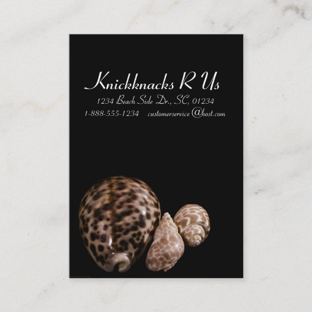 Affärskortet Cowrie Cones Visitkort (Framsida)