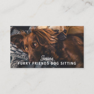 Affärskortet Dog Walker Sitta Daycare Service Visitkort