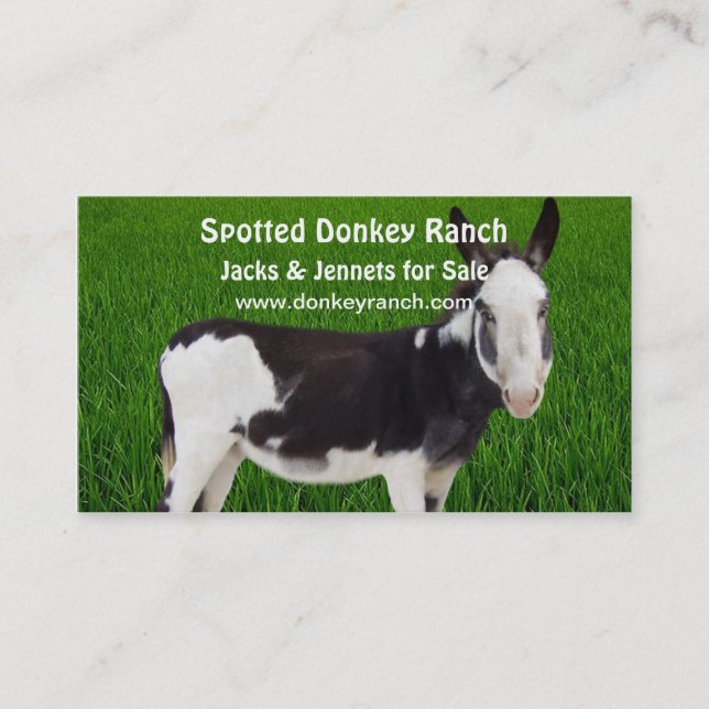 Affärskortet Donkey Ranch Visitkort (Framsida)
