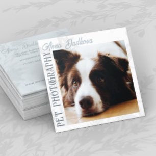 Affärskortet gräns Collie Pet Photography Square Fyrkantigt Visitkort