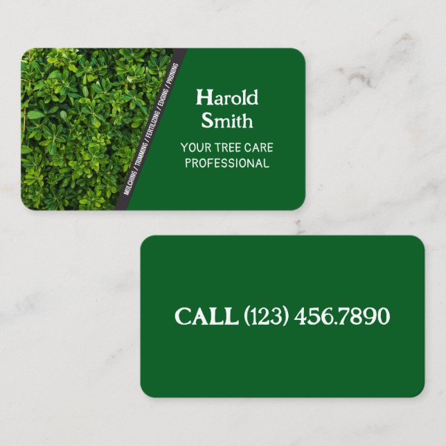Affärskortet gräsmatta visitkort (Fram/baksida)