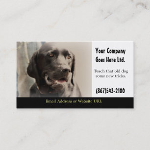 Affärskortet Hund Training Services Visitkort