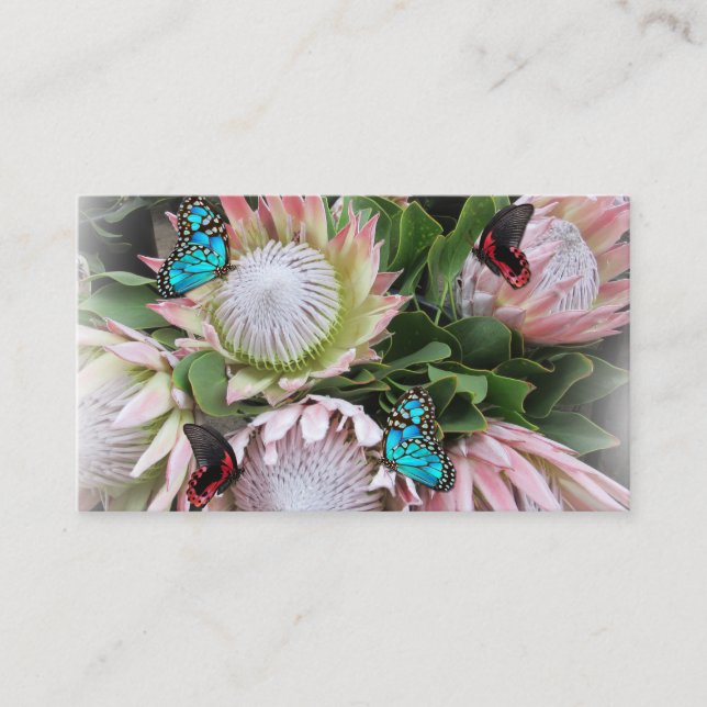 Affärskortet Kung Protea Visitkort (Framsida)