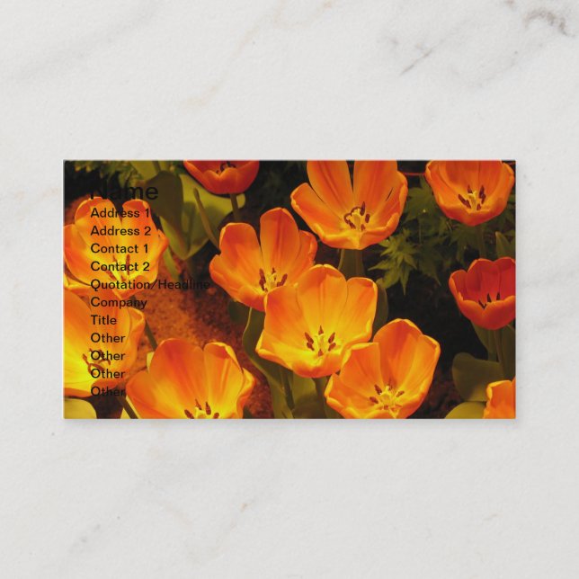 Affärskortet orange Tulips Visitkort (Framsida)