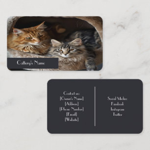 Affärskortet personlig Cattery Visitkort