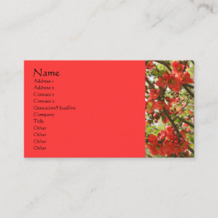 Affärskortet Red Blommars Blomsterfotografi Visitkort