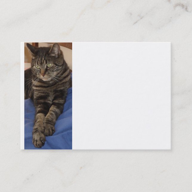 Affärskortet Regal Dave Knubbig Visitkort (Framsida)