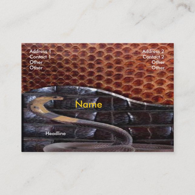 Affärskortet Snake Leather Visitkort (Framsida)
