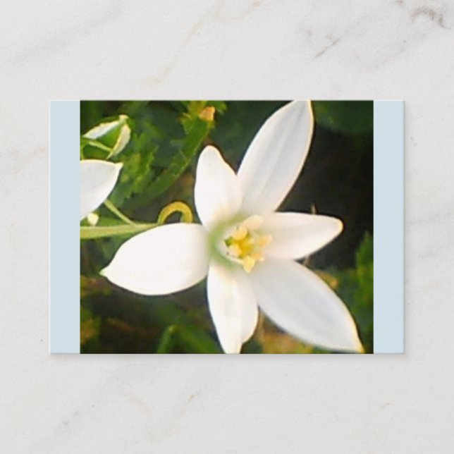 Affärskortet Vår White Bloom Visitkort (Framsida)