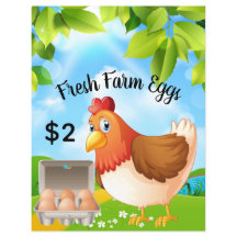 Affärsreklamflygare för färska jordbruksägg