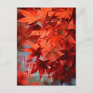 Affärsvisitkort/Röda Höst löv Thanksgiving Helg Vykort