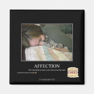 Affektion Magnet