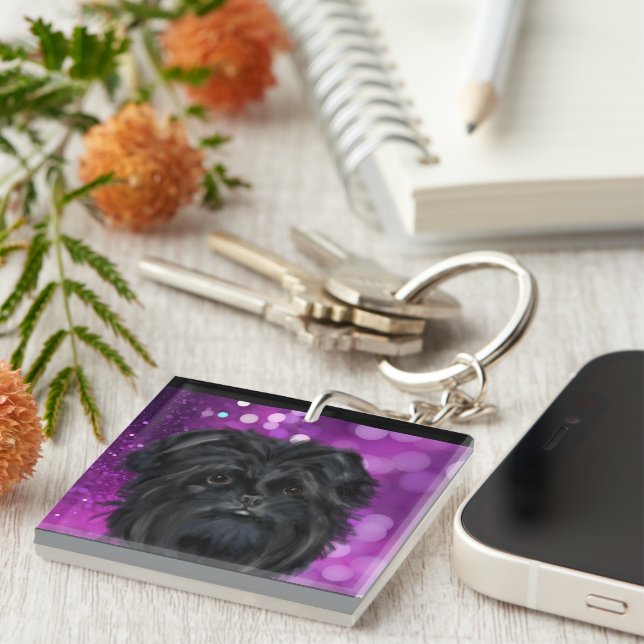 AFFENPINSCHER   (Högra Framsidan)