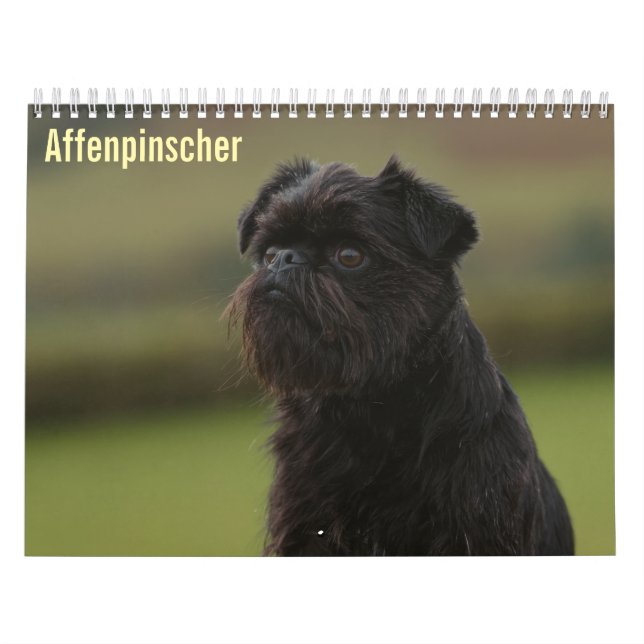 Affenpinscher 2027 Kalender (Omslag)