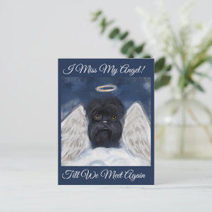 Affenpinscher Ängel Vykort