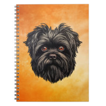 Affenpinscher Ap hund Affens Terrier