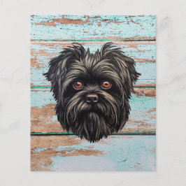 Affenpinscher Apmonkey Hund Affens Terrier