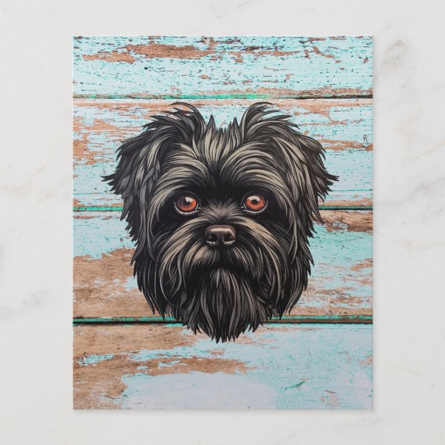 Affenpinscher Apmonkey Hund Affens Terrier (Framsida)