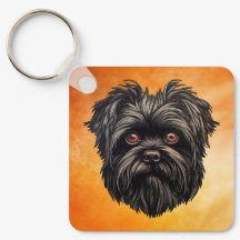 Affenpinscher Apmonkey Hund Affens Terrier