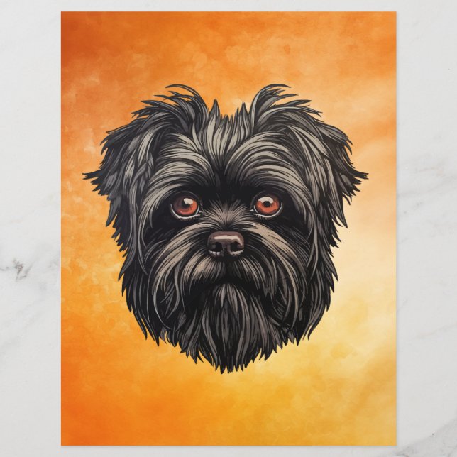 Affenpinscher Apmonkeyhund Affens Terrier Papper (Framsida)
