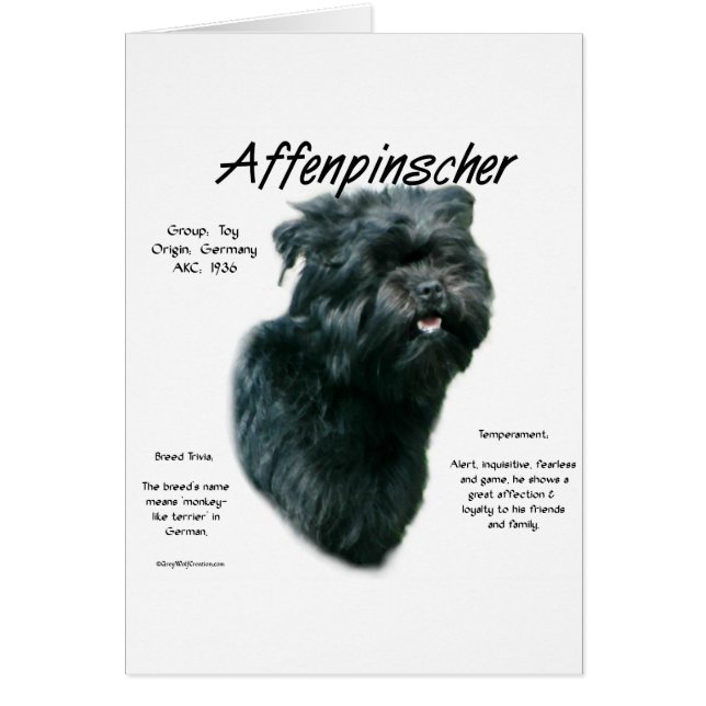 Affenpinscher-historikdesign Hälsningskort (Framsidan)
