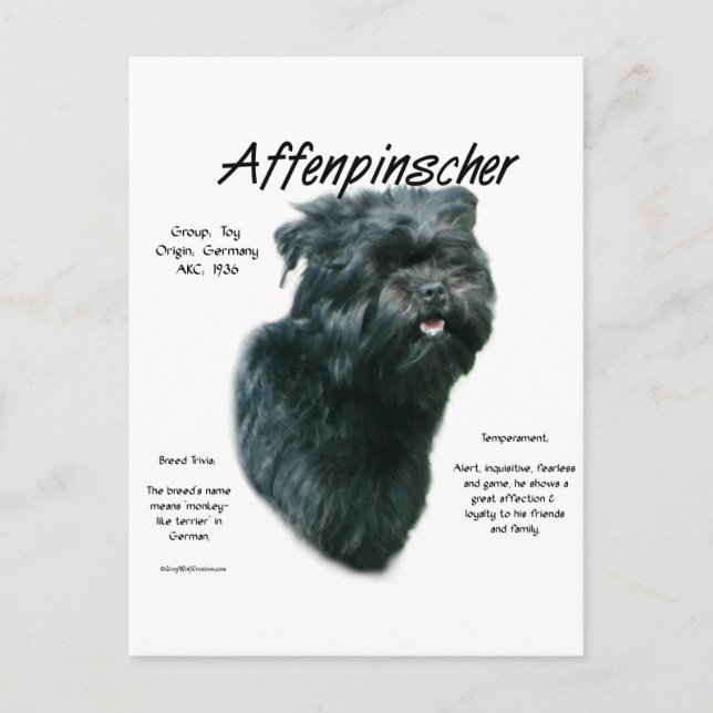Affenpinscher-historikdesign Vykort (Framsida)