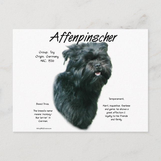 Affenpinscher-historikdesign Vykort (Framsida)