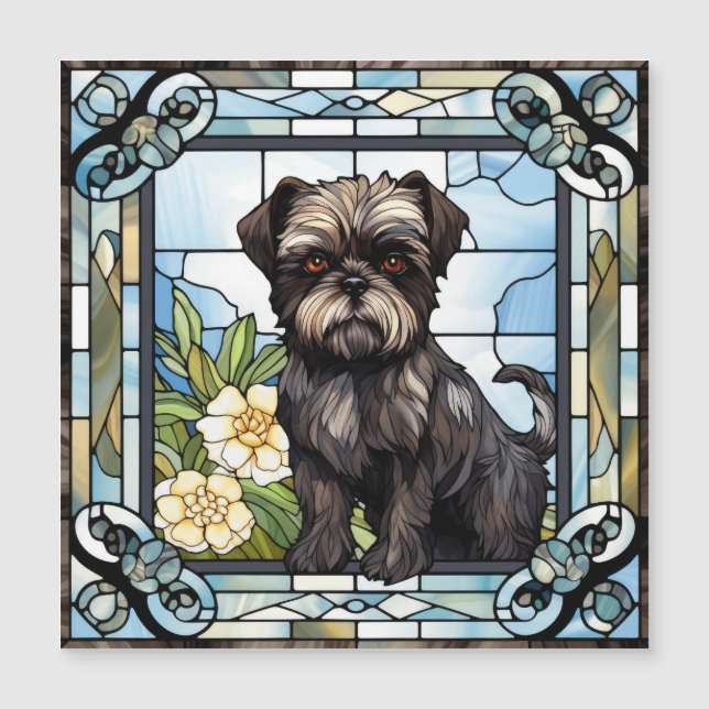 Affenpinscher Hund (Framsida)