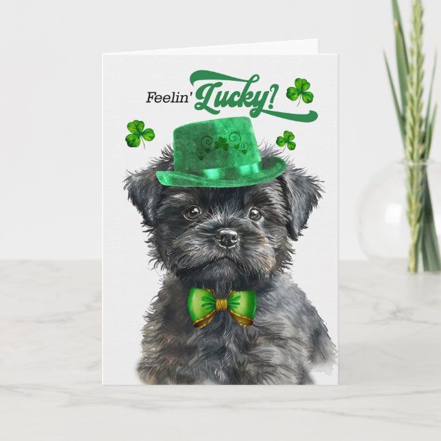 Affenpinscher Hund Feelin'Lucky St patrick's day Helgkort (Framsida)