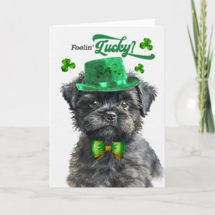 Affenpinscher Hund Feelin'Lucky St patrick's day Helgkort