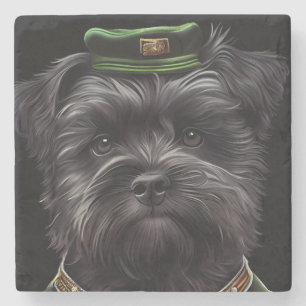 Affenpinscher hund i St. Patrick's Day dräkt Stenunderlägg