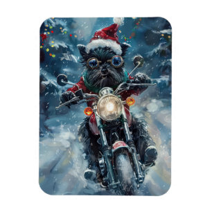Affenpinscher Hund Kör Motorcykel Jul Magnet