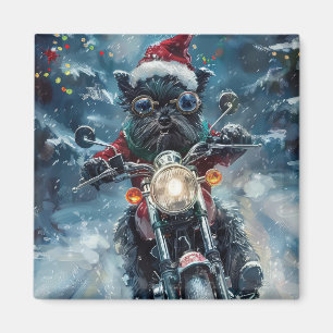 Affenpinscher Hund Ridning Motorcykel Jul Magnet