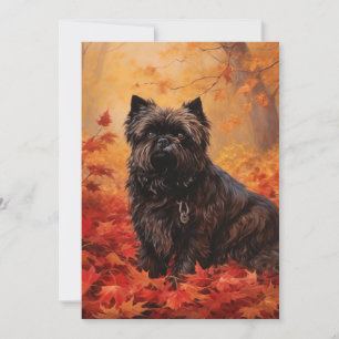 Affenpinscher i Höst löv Fall Inspired Tack Kort