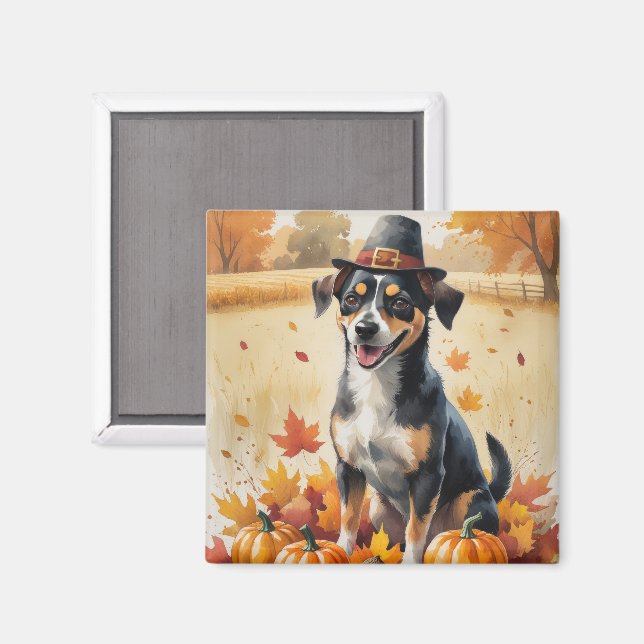 Affenpinscher i höstlöv tackgivande konst magnet (Front/Back)