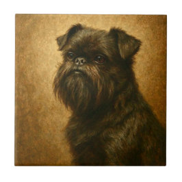Affenpinscher Kakelplatta