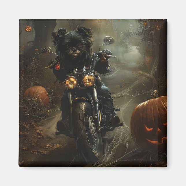 Affenpinscher Kör Motorcykel Halloween Skräckinjag Magnet (Framsidan)