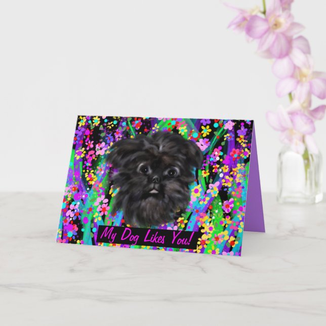 AFFENPINSCHER KORT (Orkide)