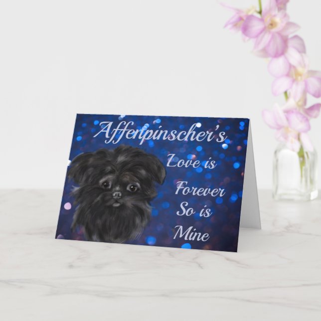 AFFENPINSCHER  KORT (Orkide)