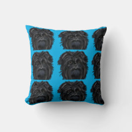Affenpinscher Kudde