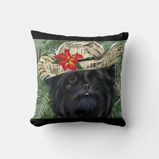 Affenpinscher Kudde (Framsida)
