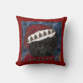 Affenpinscher Kudde